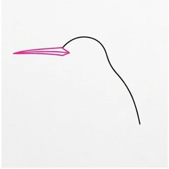 How to Draw a Hummingbird: Easy Step-by-Step Drawing Tutorial for Kids 3 How to Draw a Hummingbird Step 2