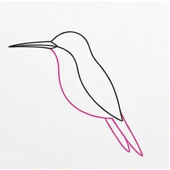How to Draw a Hummingbird: Easy Step-by-Step Drawing Tutorial for Kids 5 How to Draw a Hummingbird Step 4