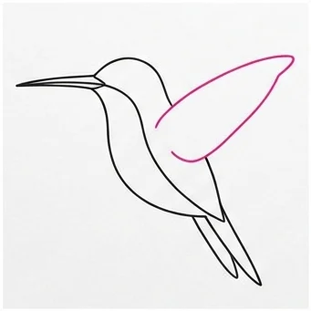 How to Draw a Hummingbird: Easy Step-by-Step Drawing Tutorial for Kids 6 How to Draw a Hummingbird Step 5