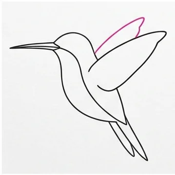 How to Draw a Hummingbird: Easy Step-by-Step Drawing Tutorial for Kids 7 How to Draw a Hummingbird Step 6