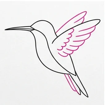 How to Draw a Hummingbird: Easy Step-by-Step Drawing Tutorial for Kids 8 How to Draw a Hummingbird Step 7