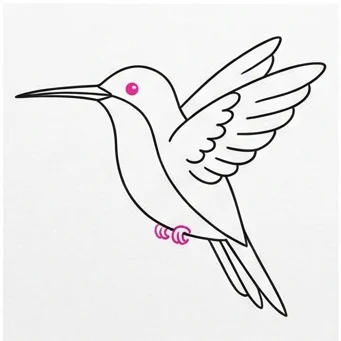 How to Draw a Hummingbird: Easy Step-by-Step Drawing Tutorial for Kids 9 How to Draw a Hummingbird Step 8