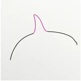 How to Draw an Orca: Easy Step-by-Step Drawing Tutorial for Kids 3 How to Draw an Orca Step 2