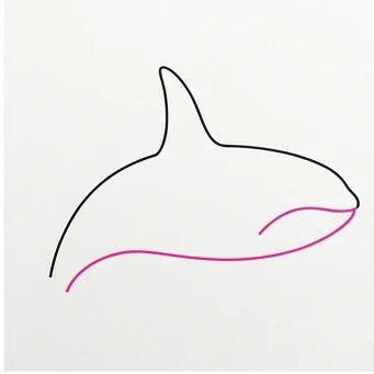 How to Draw an Orca: Easy Step-by-Step Drawing Tutorial for Kids 4 How to Draw an Orca Step 3