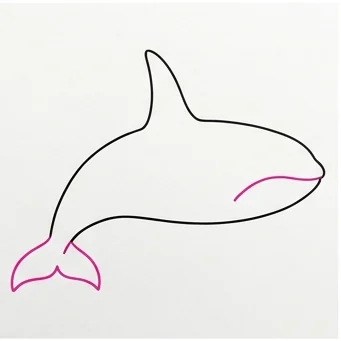 How to Draw an Orca: Easy Step-by-Step Drawing Tutorial for Kids 5 How to Draw an Orca Step 4