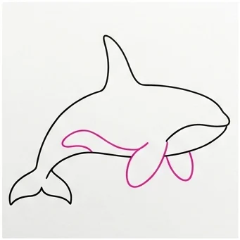 How to Draw an Orca: Easy Step-by-Step Drawing Tutorial for Kids 6 How to Draw an Orca Step 5