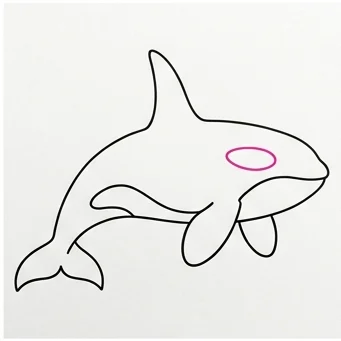 How to Draw an Orca: Easy Step-by-Step Drawing Tutorial for Kids 7 How to Draw an Orca Step 6