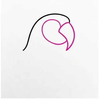 How to Draw a Parrot: Easy Step-by-Step Drawing Tutorial for Kids 3 How to Draw a Parrot Step 2