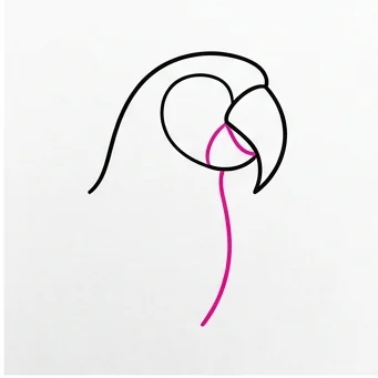 How to Draw a Parrot: Easy Step-by-Step Drawing Tutorial for Kids 4 How to Draw a Parrot Step 3