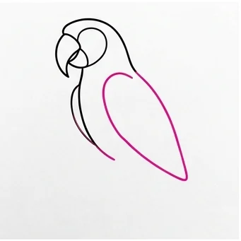 How to Draw a Parrot: Easy Step-by-Step Drawing Tutorial for Kids 5 How to Draw a Parrot Step 4