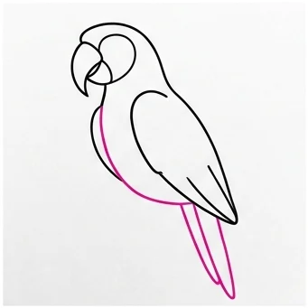 How to Draw a Parrot: Easy Step-by-Step Drawing Tutorial for Kids 6 How to Draw a Parrot Step 5