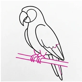 How to Draw a Parrot: Easy Step-by-Step Drawing Tutorial for Kids 7 How to Draw a Parrot Step 6