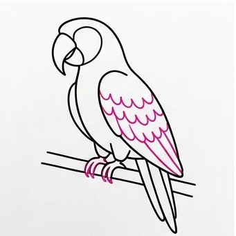 How to Draw a Parrot: Easy Step-by-Step Drawing Tutorial for Kids 8 How to Draw a Parrot Step 7