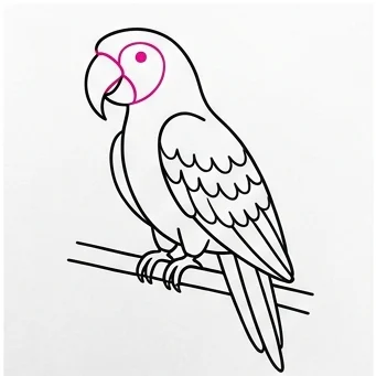 How to Draw a Parrot: Easy Step-by-Step Drawing Tutorial for Kids 9 How to Draw a Parrot Step 8