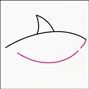 How to Draw an Easy Shark: Easy Step-by-Step Drawing Tutorial for Kids 4 How to Draw an Easy Shark Step 3