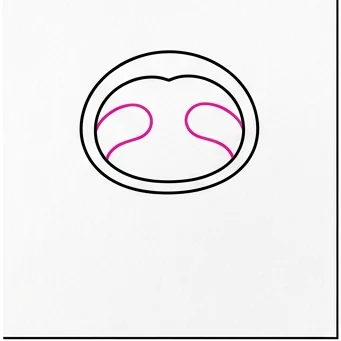 How to Draw a Sloth: Easy Step-by-Step Drawing Tutorial for Kids 3 How to Draw a Sloth Step 2