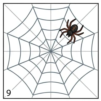 How to Draw a Spider Web: Easy Step-by-Step Drawing Tutorial for Kids 10 How to Draw a Spider Web Step 9